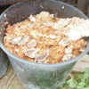 Mushroom Spawn - Oyster 1.5kg - Image 8
