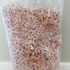 Mushroom Spawn - Oyster 1.5kg - Image 9