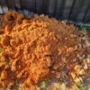Compost - Mycelium Infused Compost Bag - Image 3